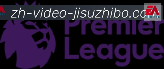 极速直播合作伙伴